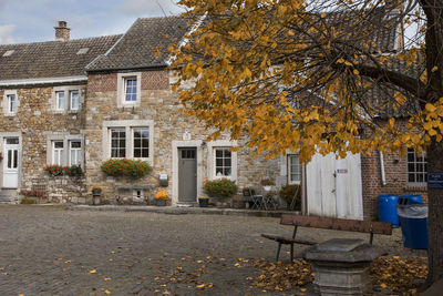 Tree by cottage house  during autumn