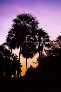 Low angle view of silhouette coconut palm trees against sky during sunset