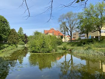 Trees and houses by lake against sky