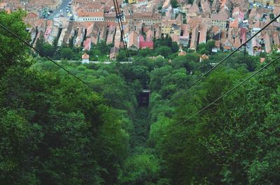 Building with trees in background