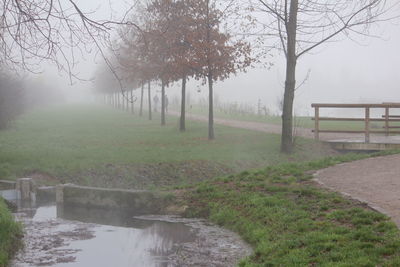 Canal amidst trees in park during foggy weather