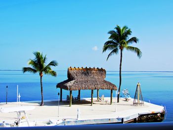 Palm tree by swimming pool against sky