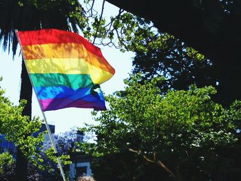 Low angle view of flags against trees