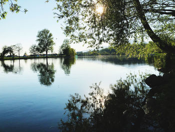 Scenic view of lake in forest against sky