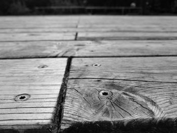 Full frame shot of tree stump