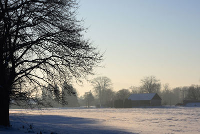 Bare trees on snow covered field against sky