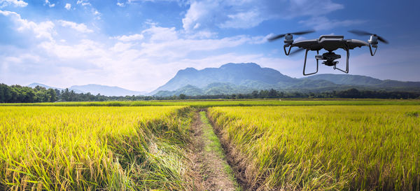 Scenic view of agricultural field against sky