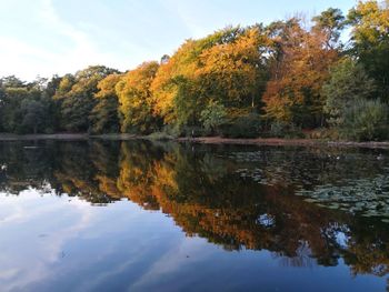 Scenic view of lake by trees against sky