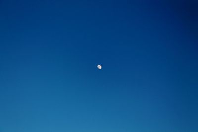 Low angle of half moon in blue sky