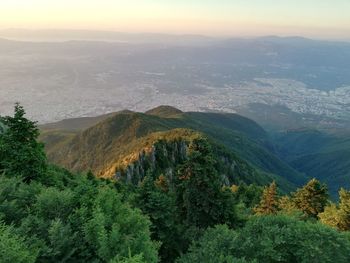 High angle view of trees on landscape against sky