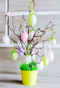 Close-up of flowers in vase