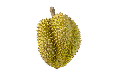 Close-up of fruit against white background