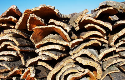 Low angle view of stack of firewood