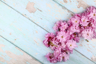 High angle view of pink flowering plant on table