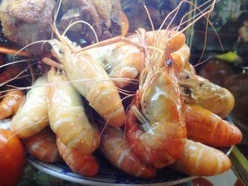 Close-up of prawns