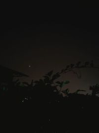 Low angle view of silhouette trees against clear sky at night