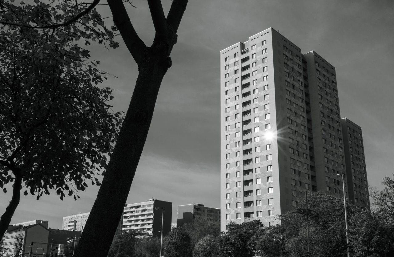 building exterior, architecture, built structure, tree, low angle view, city, sky, tall - high, skyscraper, branch, building, growth, tower, office building, modern, cloud - sky, residential building, no people, outdoors, day