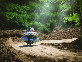 People walking on dirt road amidst trees in forest