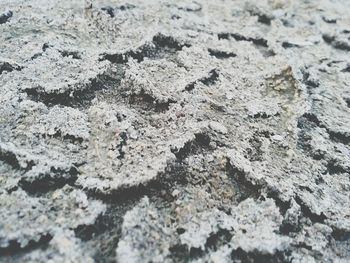 Full frame shot of ground