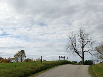 Bare trees against sky