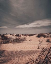 Scenic view of land against sky