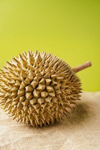 Close-up of corn over white background