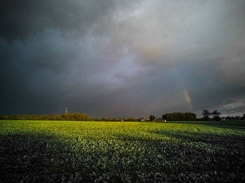 Scenic view of field against sky
