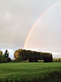 Scenic view of rainbow over field