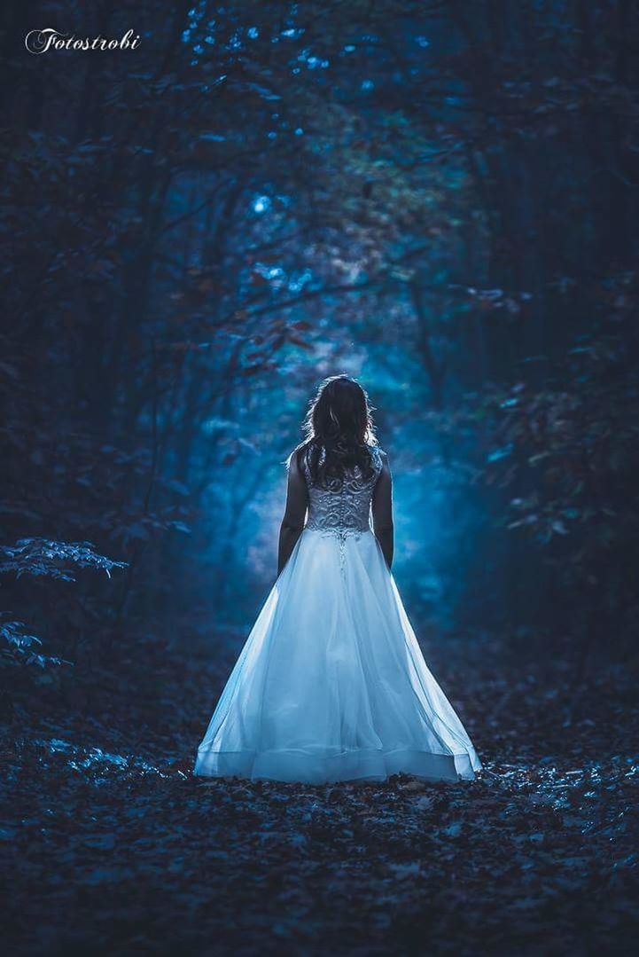 wedding, bride, wedding dress, young adult, full length, women, one person, young women, celebration, tree, forest, rear view, walking, wife, real people, life events, one young woman only, formalwear, outdoors, beauty, married, night, adult, evening gown, nature, one woman only, groom, people