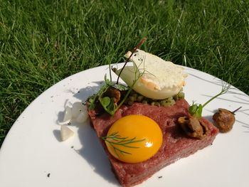 Close-up of food in plate on grassy field