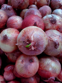 Full frame shot of pumpkins for sale at market