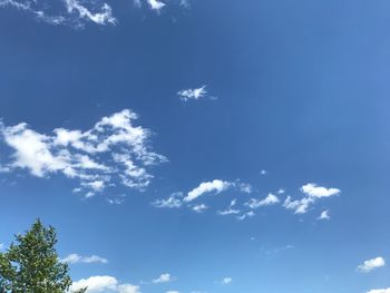 Low angle view of trees against blue sky