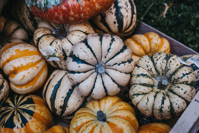 High angle view of pumpkins for sale