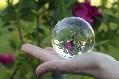 Close-up of hand holding crystal ball
