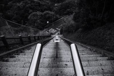 Railroad tracks amidst trees