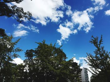 Low angle view of trees against blue sky