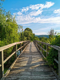 Old wooden footbridge, spring, green, direction, diminishing perspective.