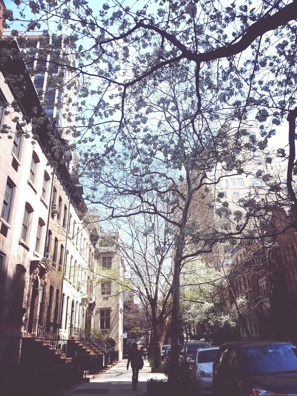 architecture, building exterior, built structure, street, tree, city, walking, men, person, car, city life, transportation, lifestyles, building, the way forward, road, branch, land vehicle