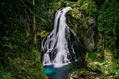 Waterfall in forest