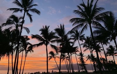 Silhouette palm trees against sky at sunset