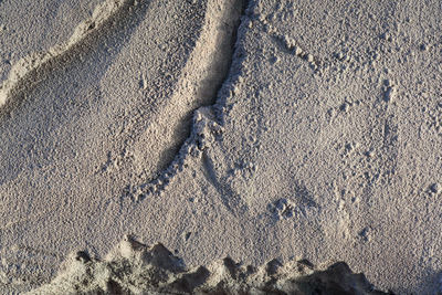 High angle view of footprints on sand