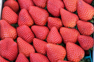 High angle view of fresh strawberries