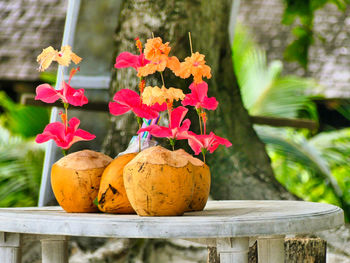 Close-up of pumpkin flowers on railing