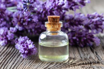 Close-up of purple flower in glass on table