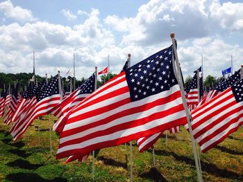 American flags in a garden