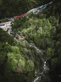 High angle view of waterfall amidst trees in forest