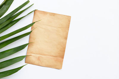 High angle view of leaves against white background