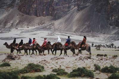 People riding horses on land