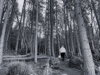 Black and white monochrome rear view of woman walking in woodlands 