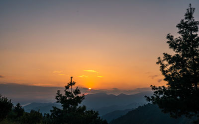 Low angle view of silhouette trees against sky during sunset